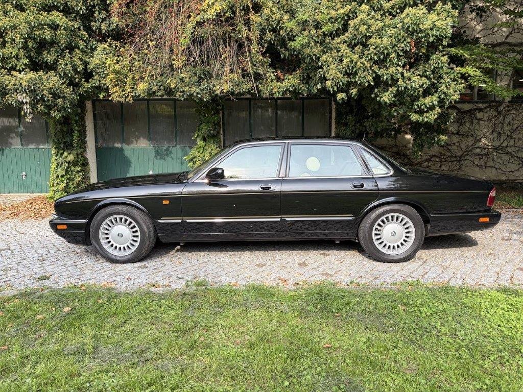 Jaguar XJR schwarz Seitenprofil mit Goldzierlinie